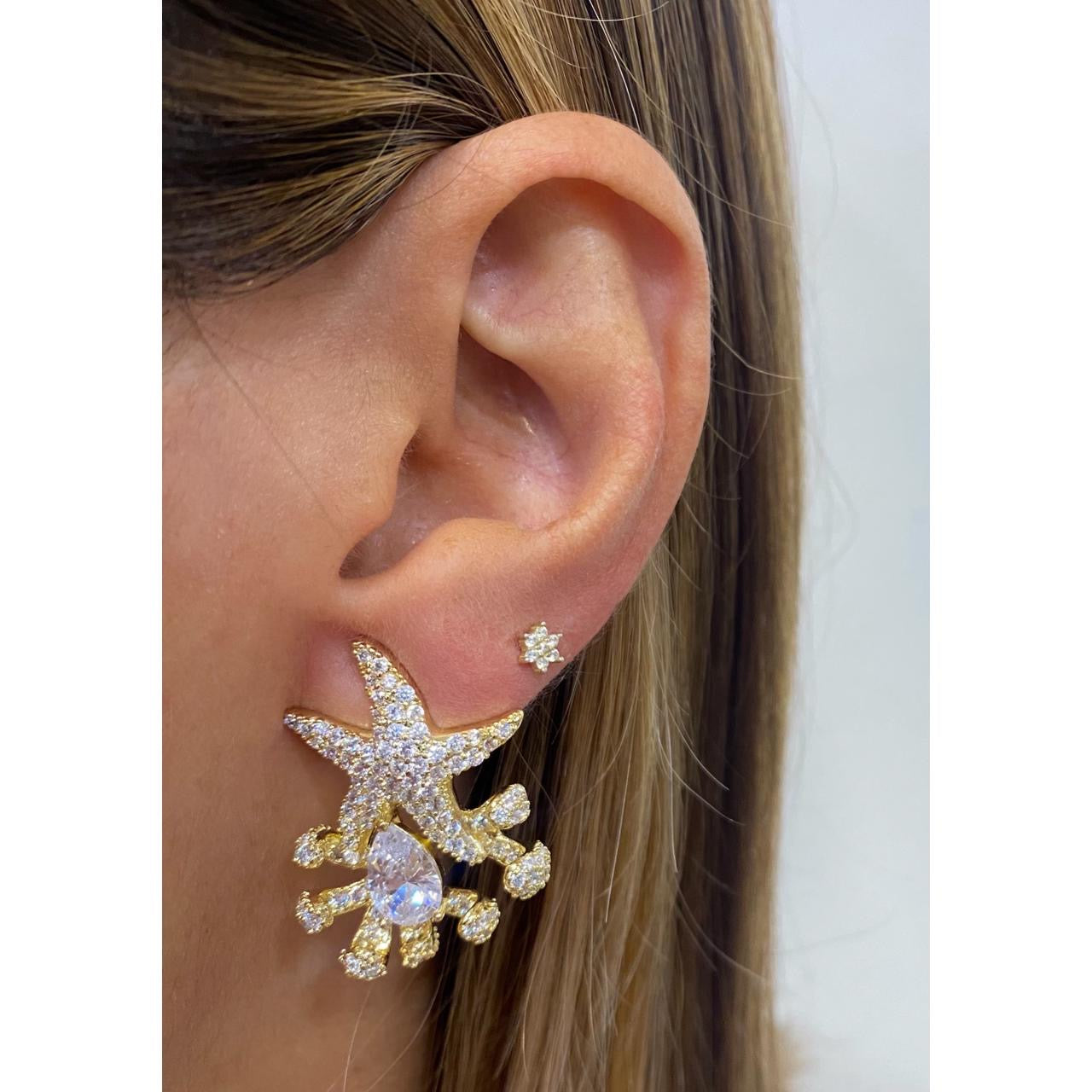 Aretes VUNAP