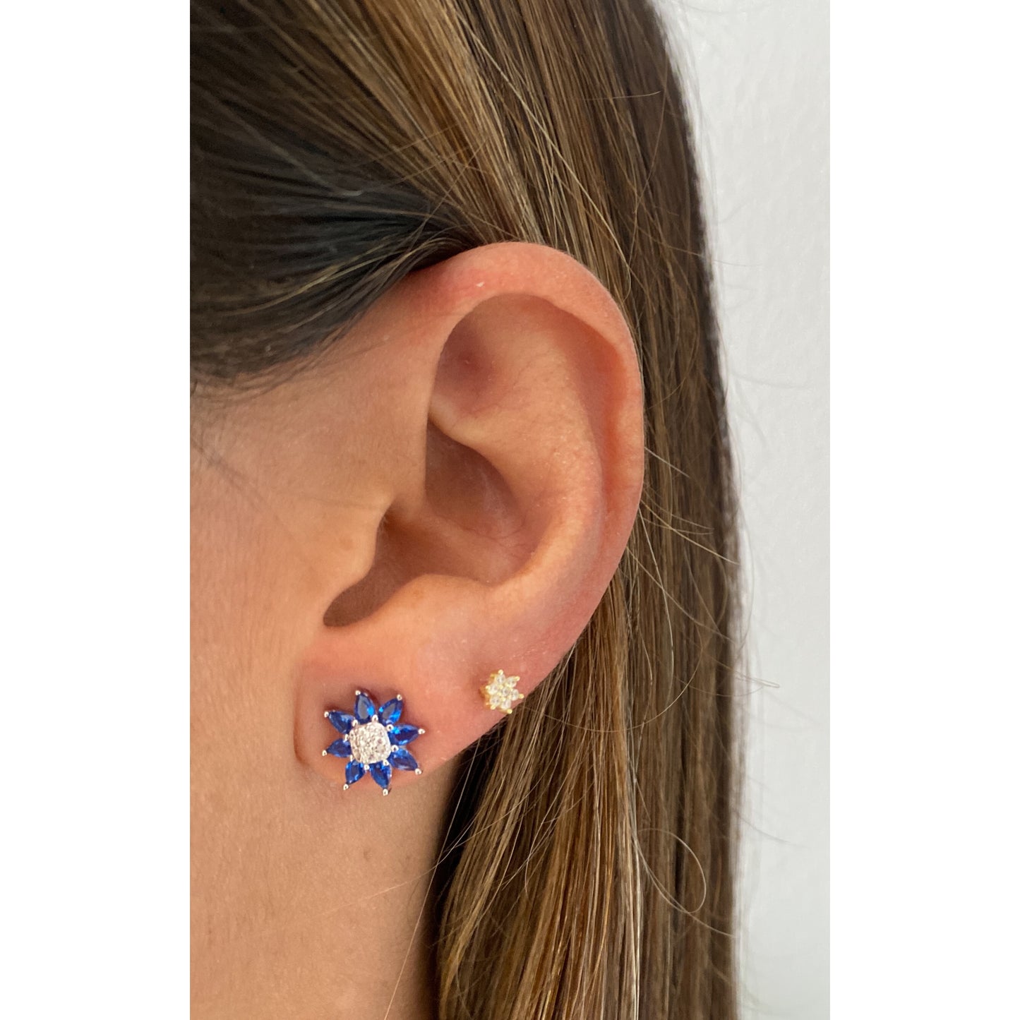 Aretes VEOLA