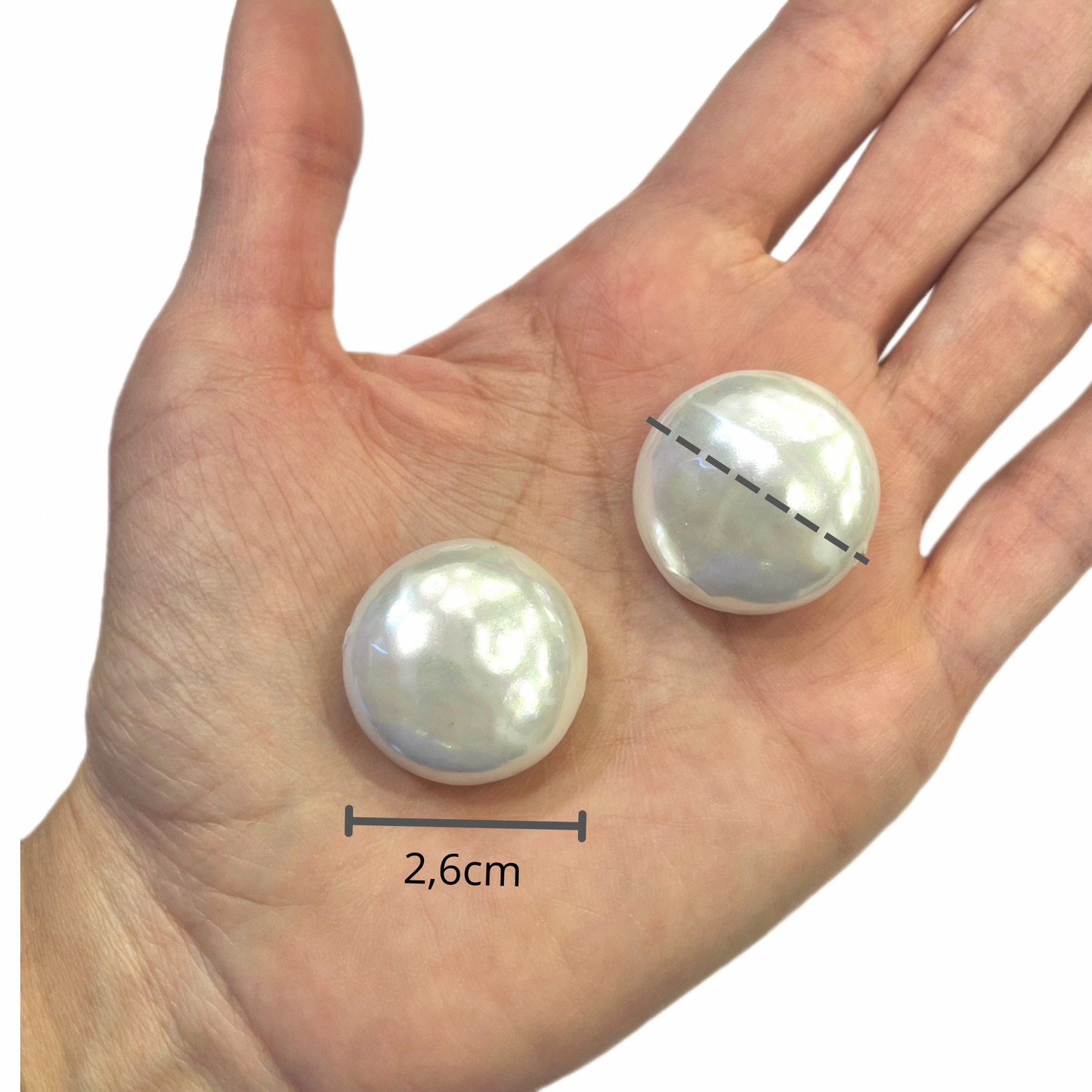 Perla Shell Moneda 2,6cm