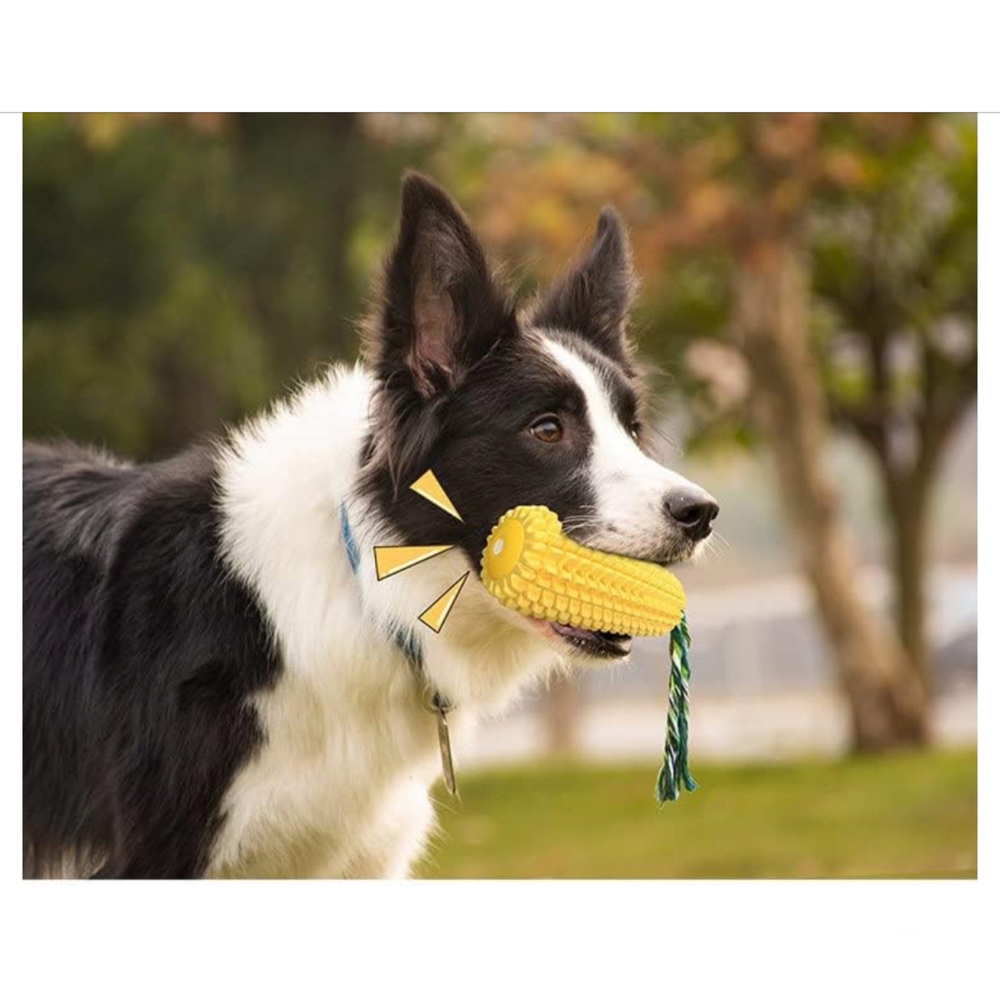 🐶 Juguete Para Perros con Forma de Maíz 🌽