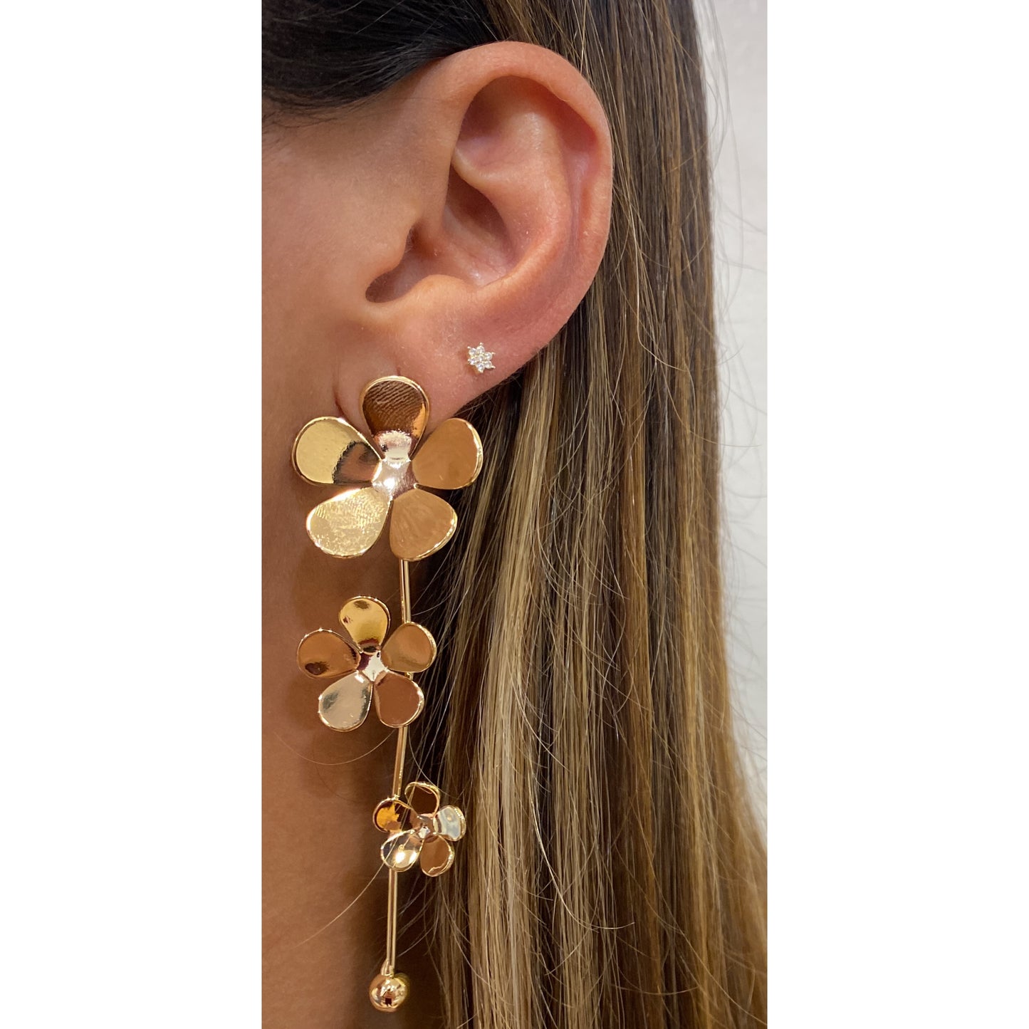 Aretes OWIN
