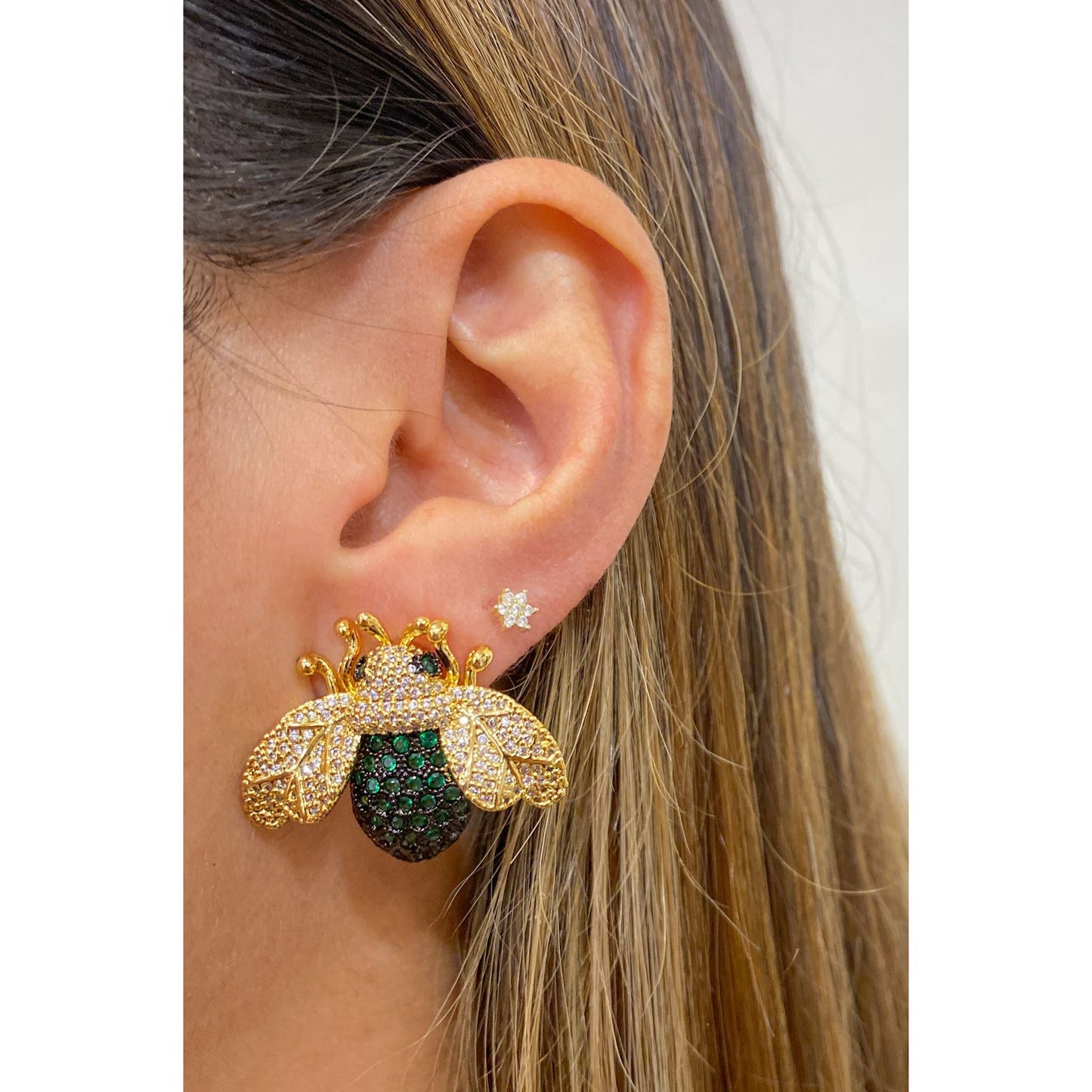Aretes LEPAM