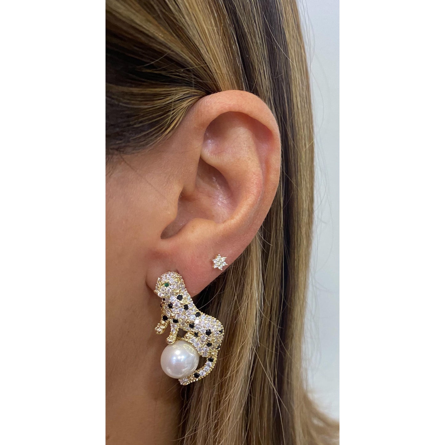 Aretes NADRE
