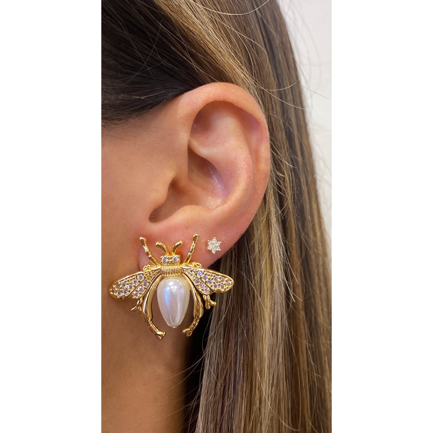 Aretes ALPIZ