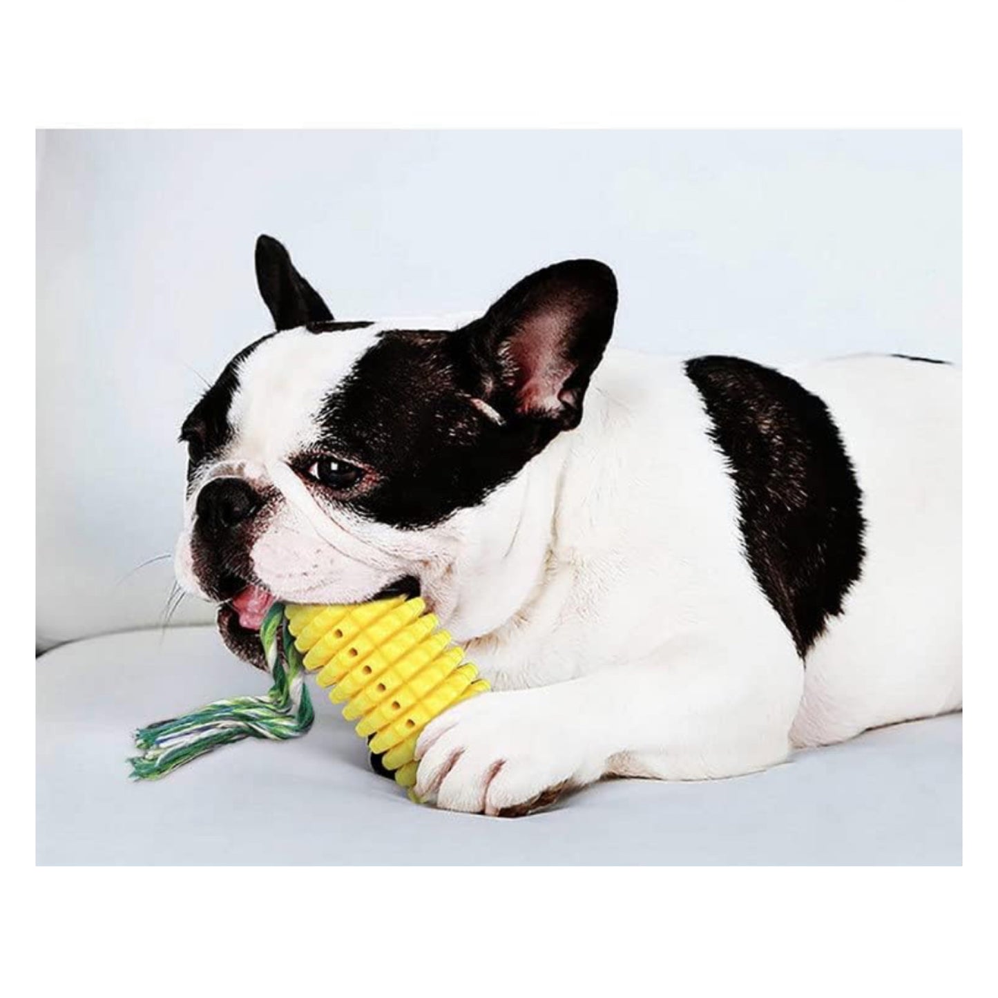 🐶 Juguete Para Perros con Forma de Maíz 🌽