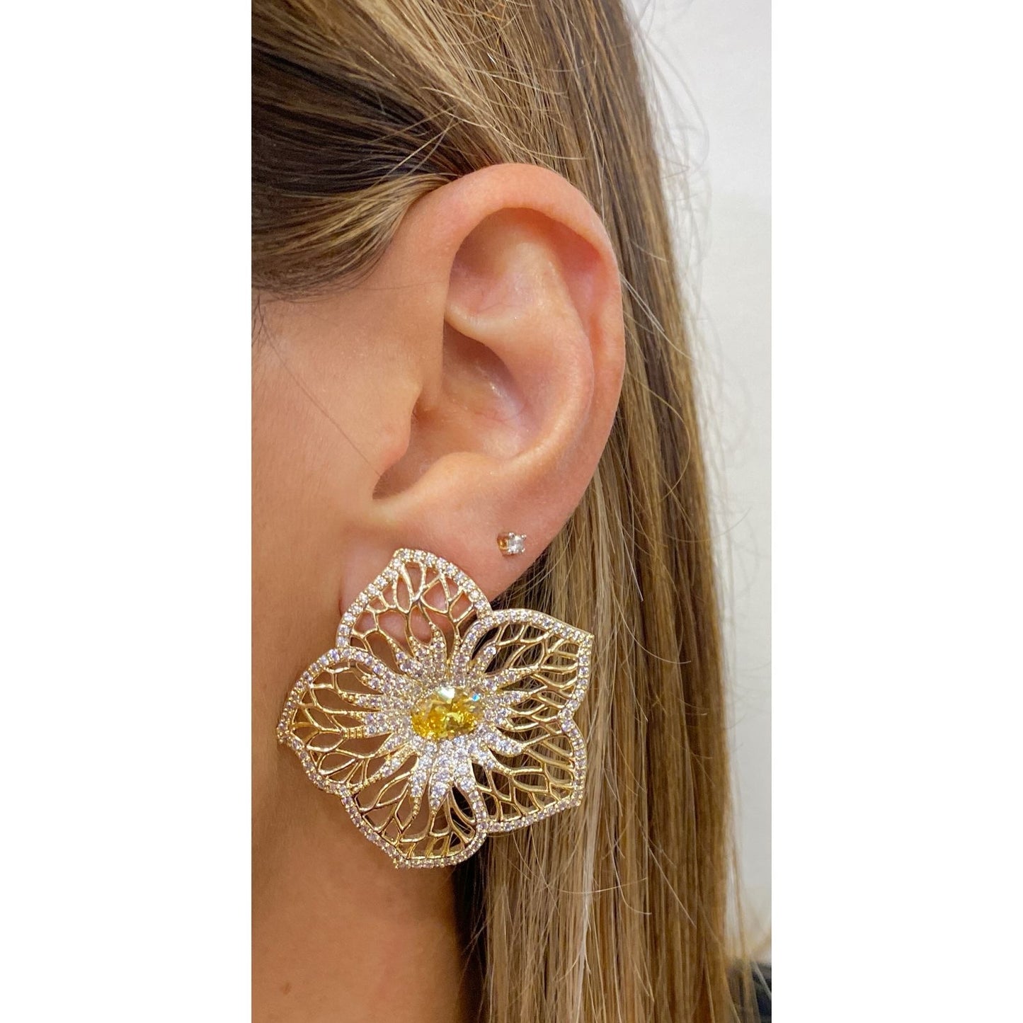 Aretes CASY