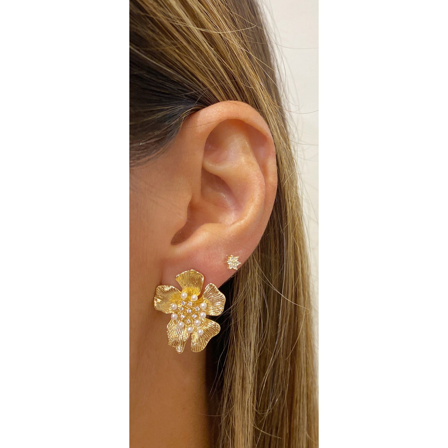 Aretes OEZI