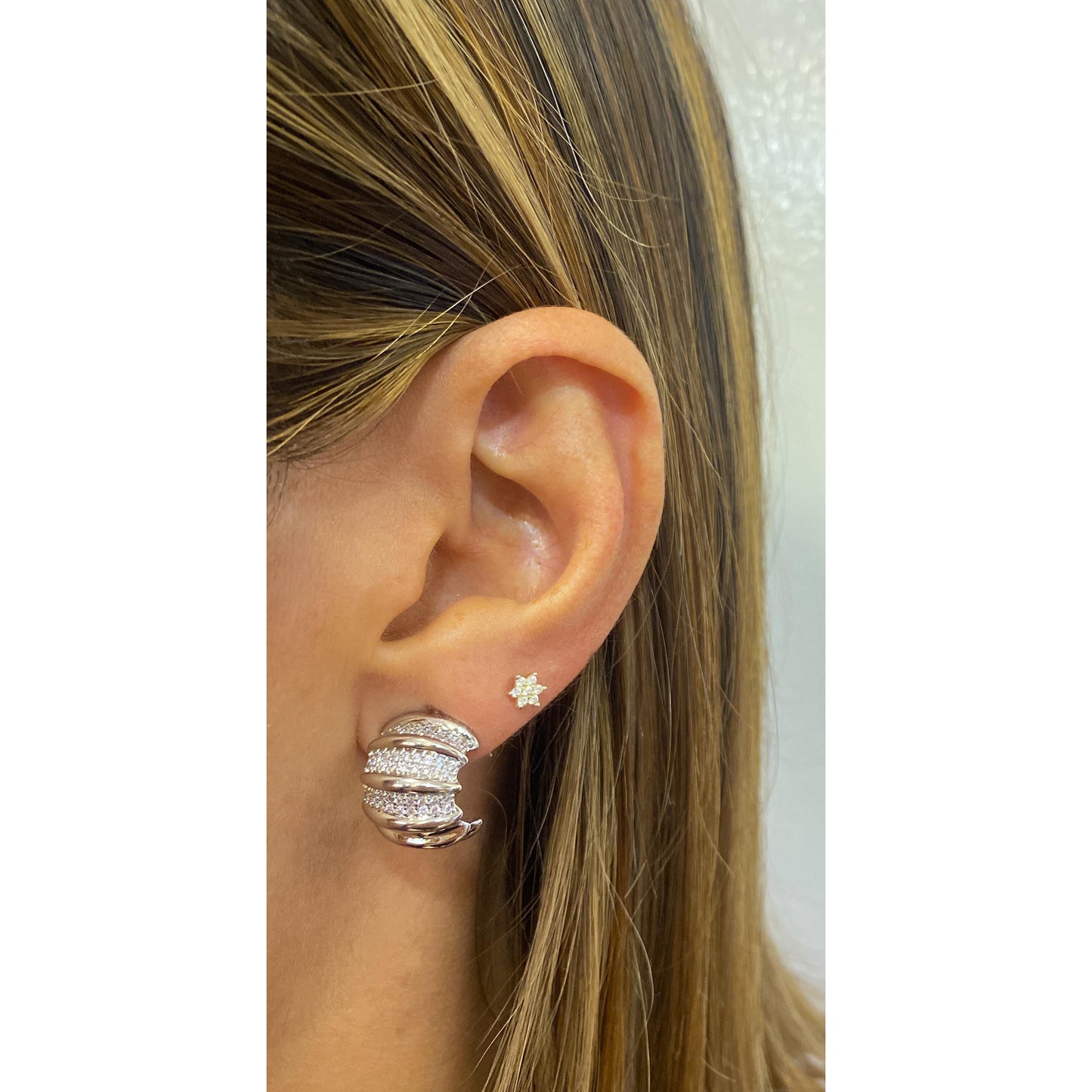 Aretes PREMI Plateados