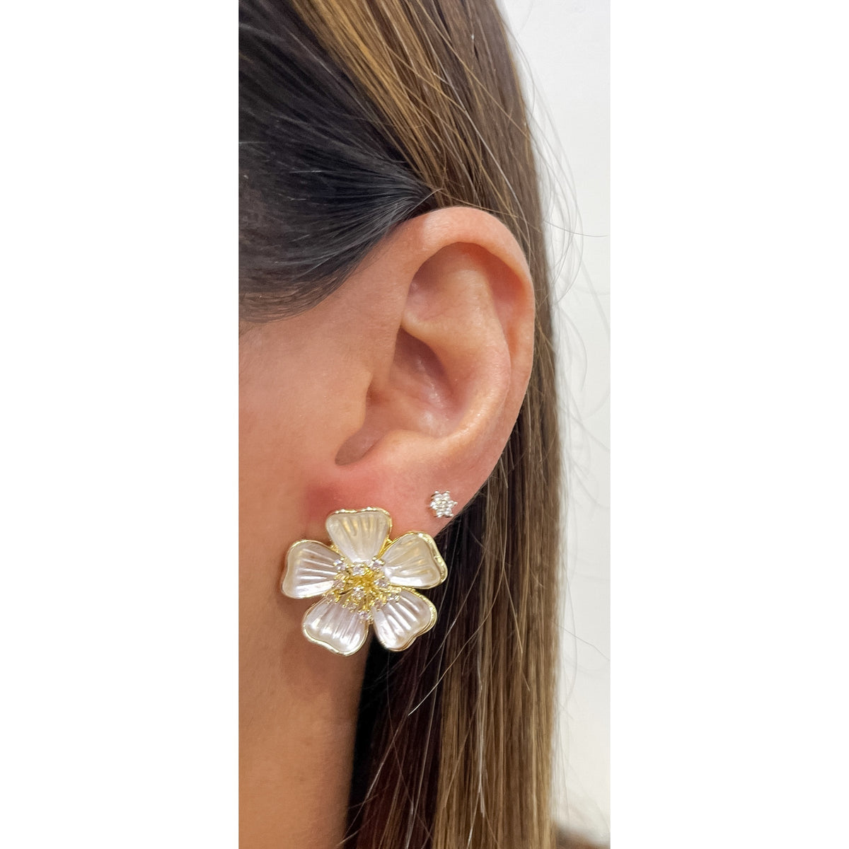 Aretes BAKEP