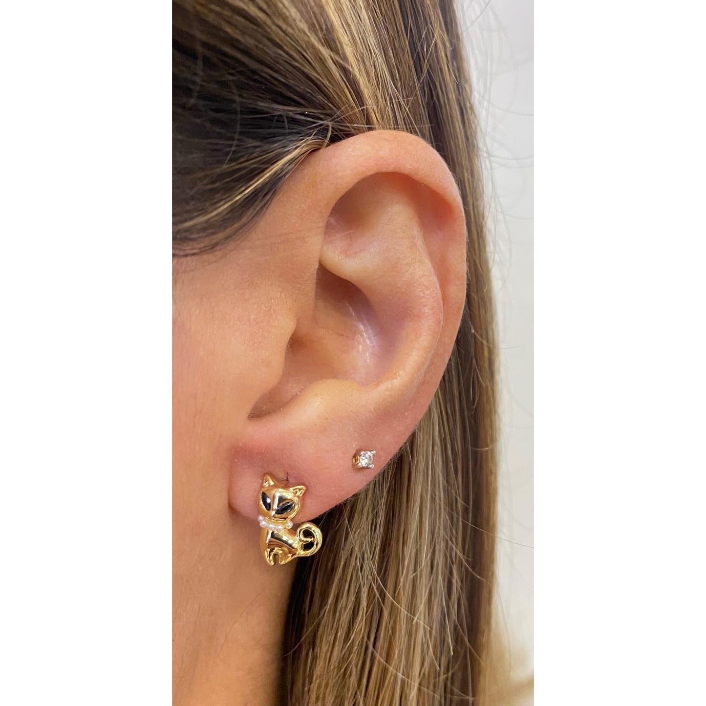 Aretes ARPIZ