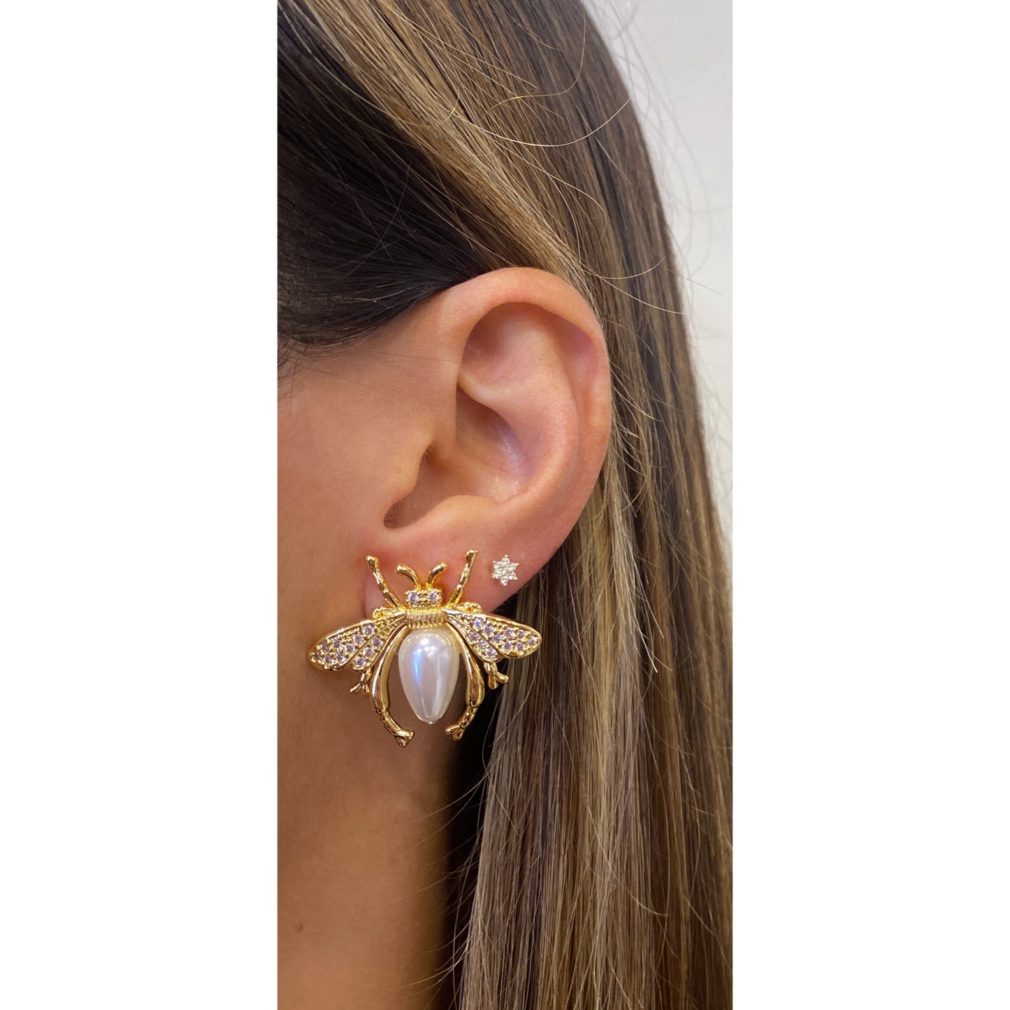 Aretes ALPIZ