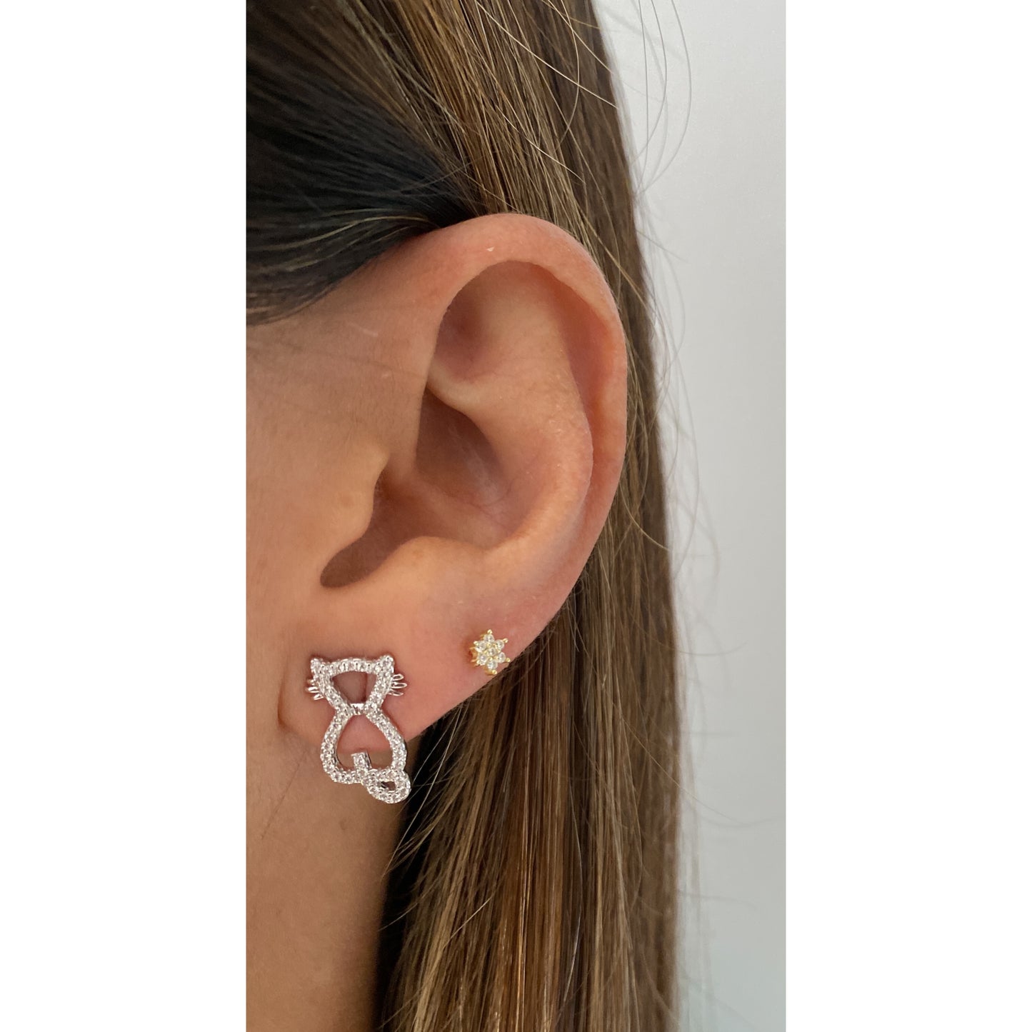 Aretes FINLA Plateado 🐈