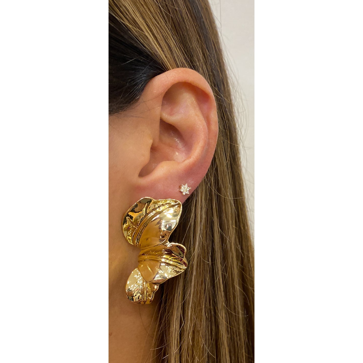 Aretes DERSI