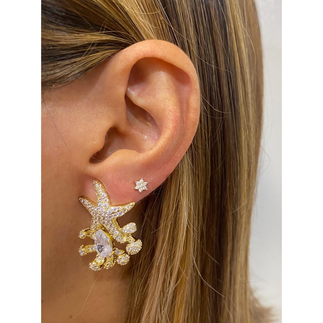 Aretes VUNAP