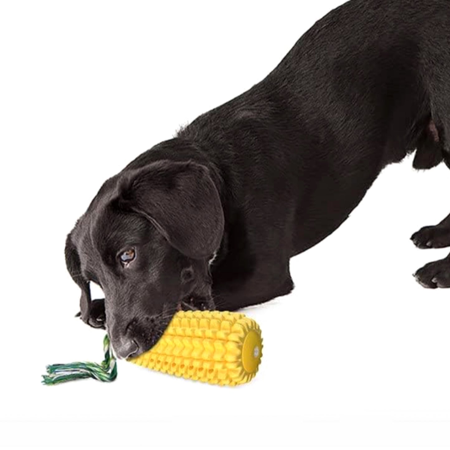 🐶 Juguete Para Perros con Forma de Maíz 🌽