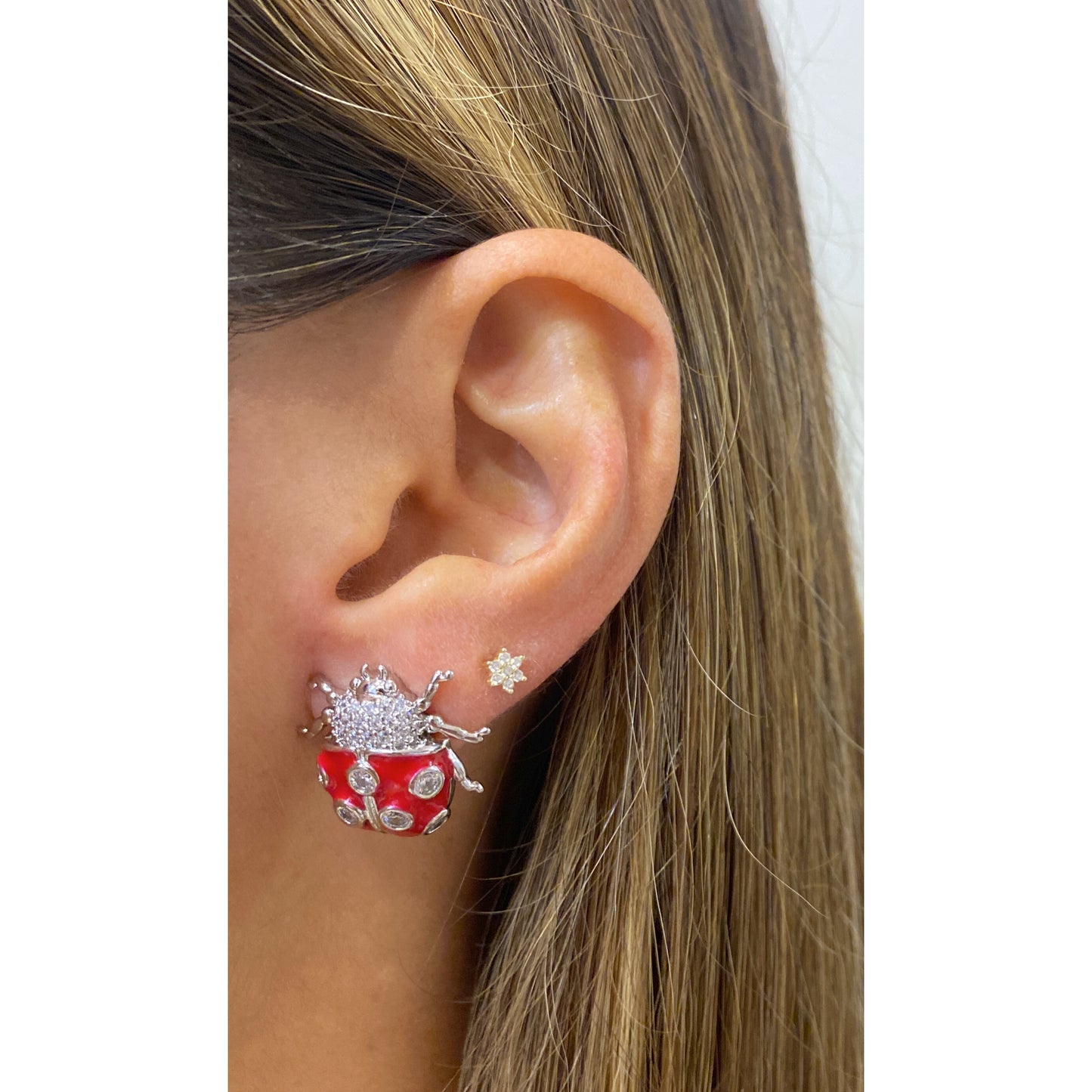 Aretes DONER Plateado