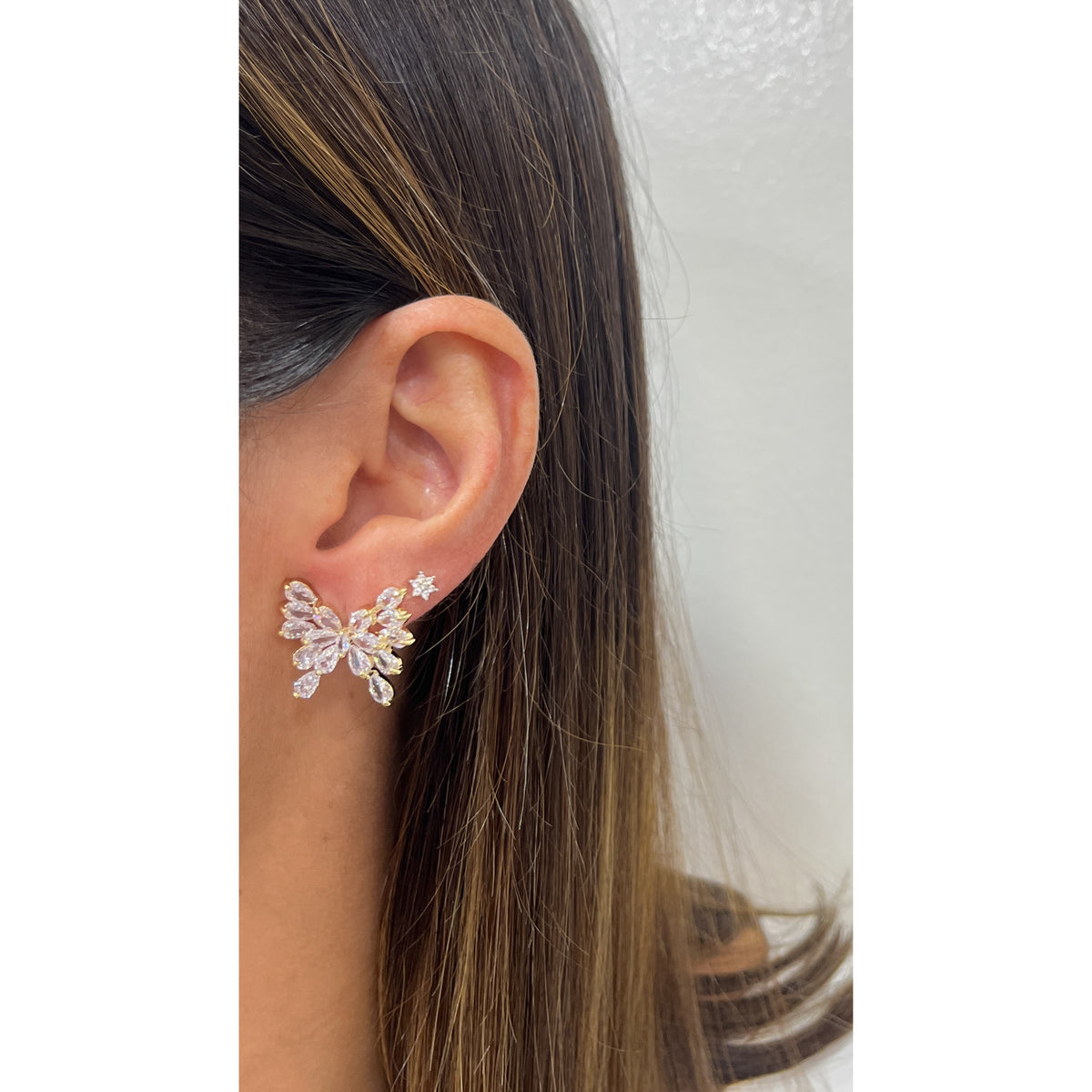 Aretes CIFUT