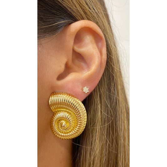 Aretes ZERFON
