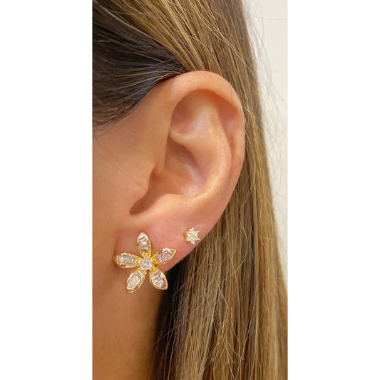 Aretes ONZEJA