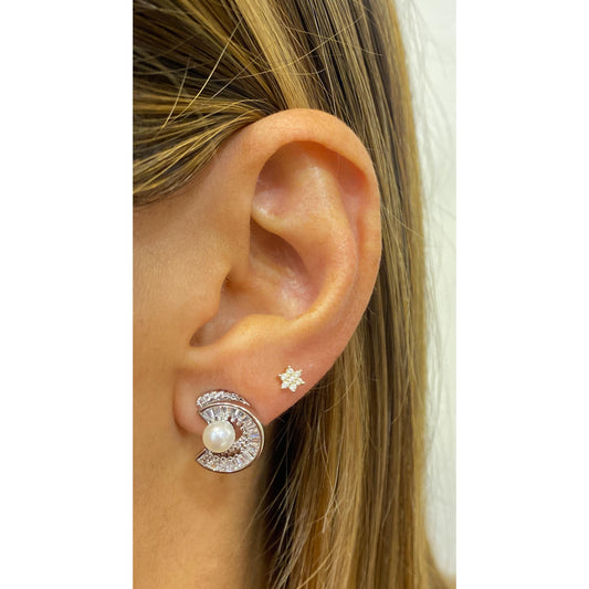 Aretes PREMA