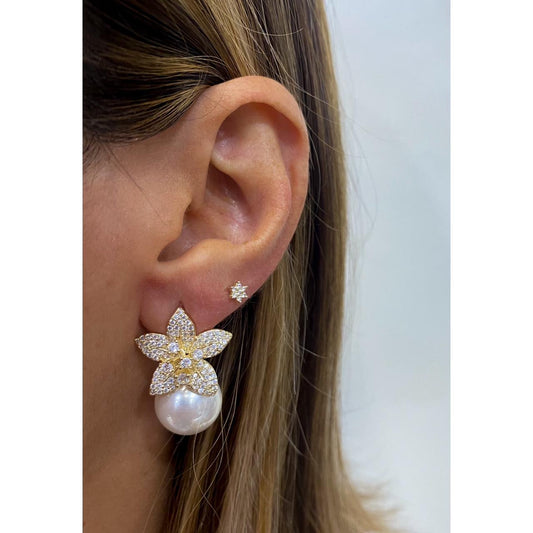 Aretes PANSU
