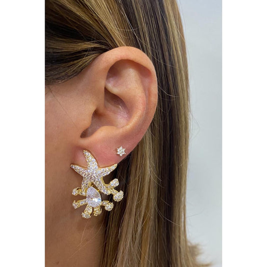 Aretes VUNAP