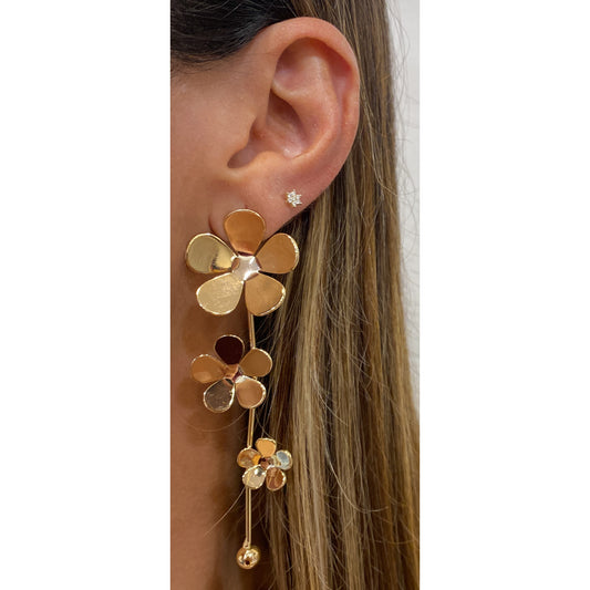 Aretes OWIN