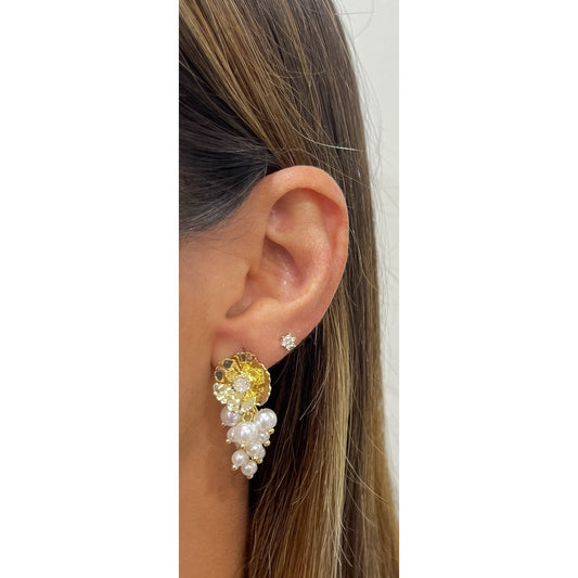 Aretes ZARU