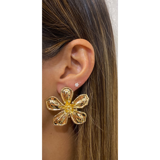 Aretes FRAZ