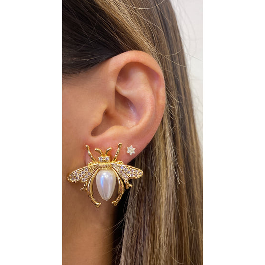 Aretes ALPIZ