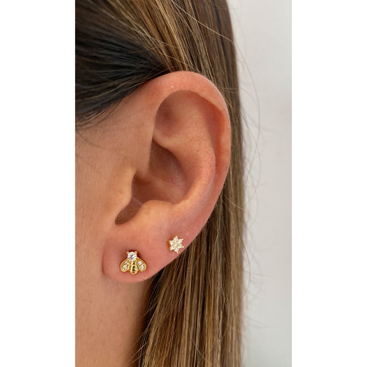Aretes DOLYN 🪲