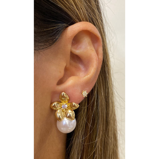 Aretes ETEZ