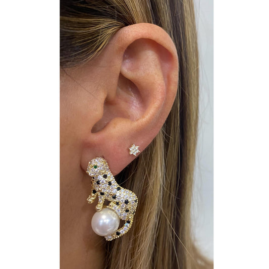 Aretes NADRE
