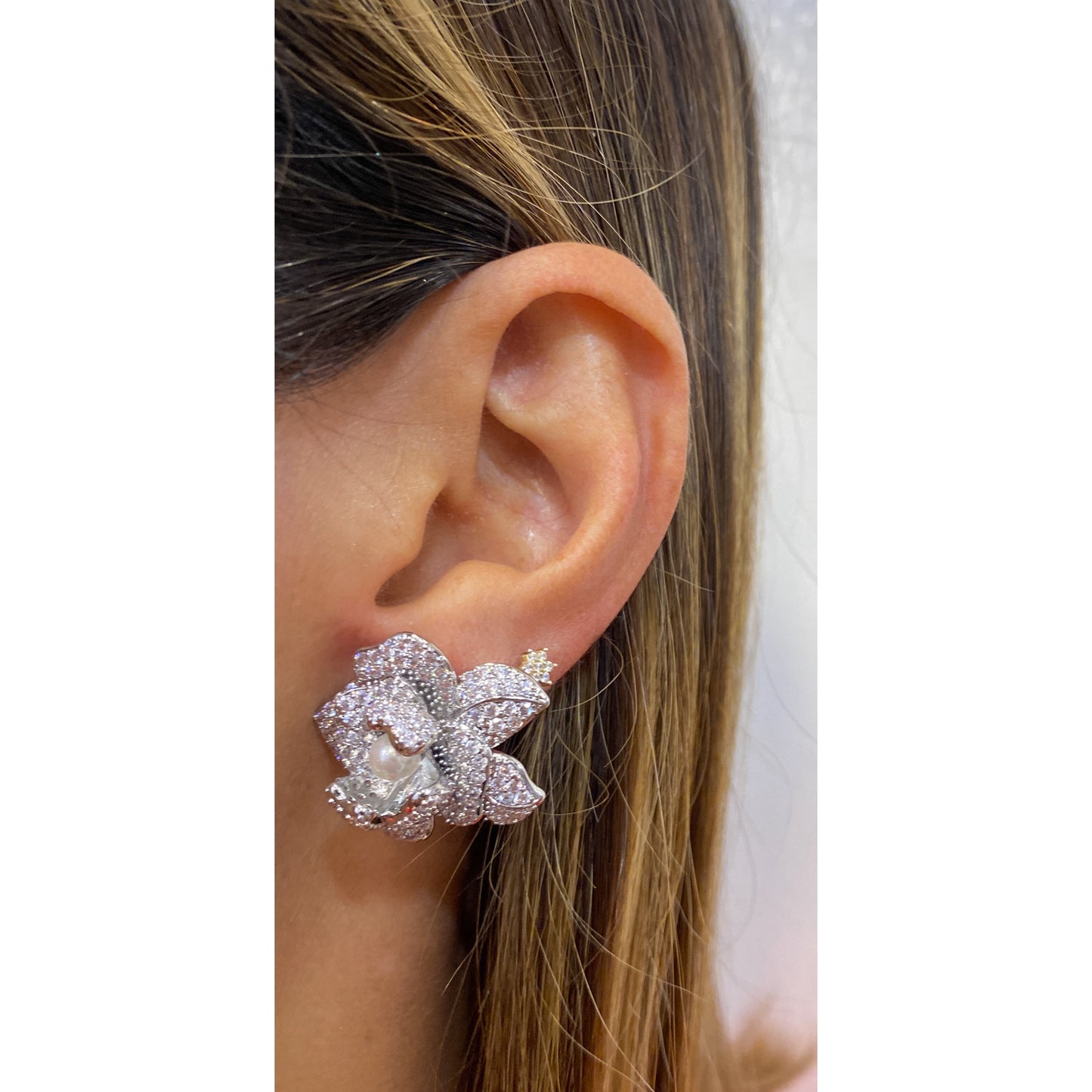 Aretes JULEON Plateado