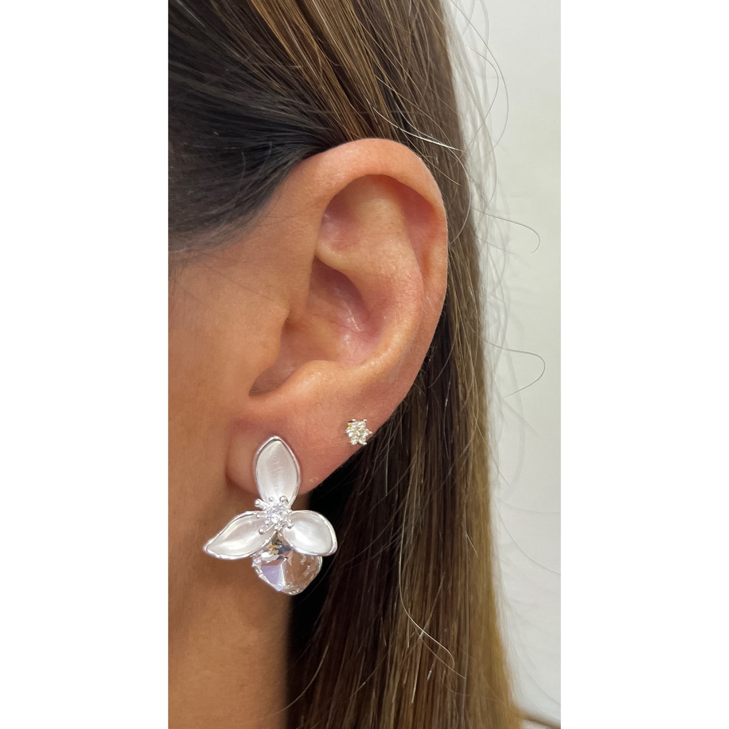 Aretes CIVA Plateado