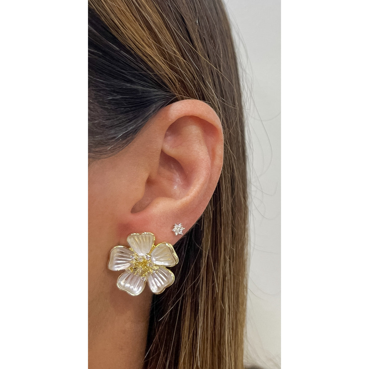 Aretes BAKEP