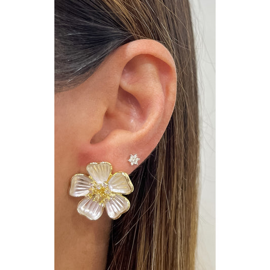 Aretes BAKEP
