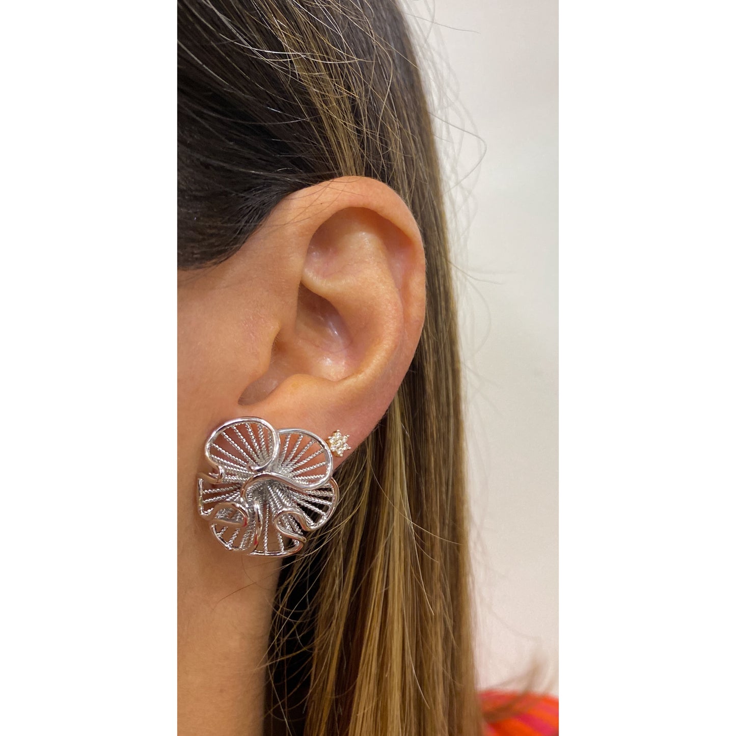 Aretes MALYR Plateado