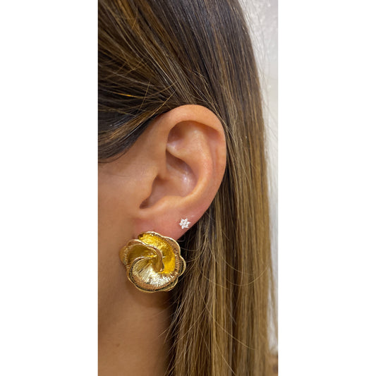 Aretes PIVU