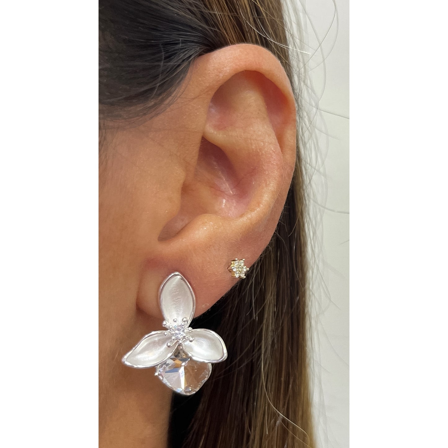 Aretes CIVA Plateado
