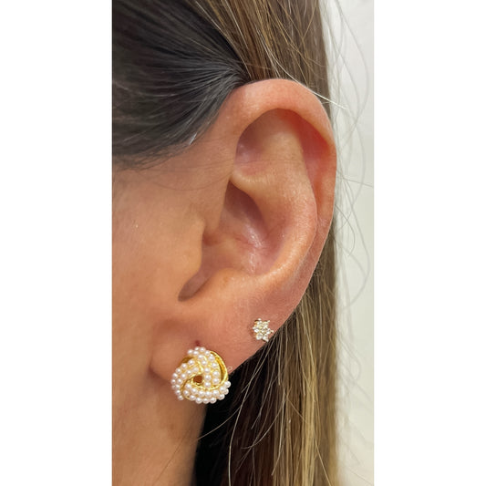 Aretes INUT