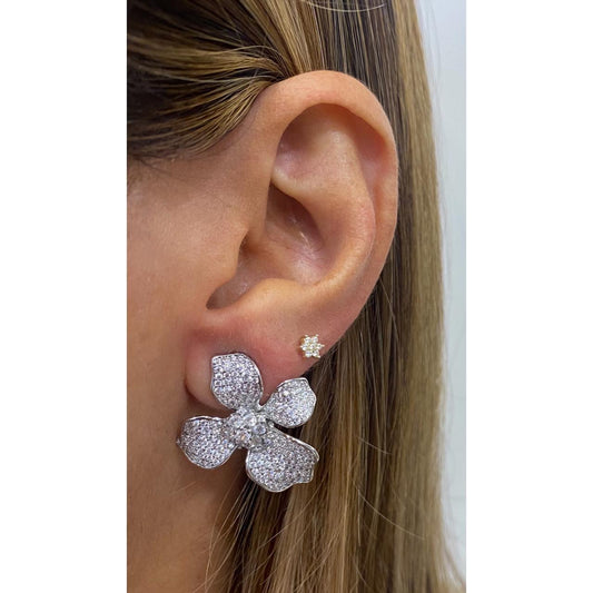 Aretes ZEBUN