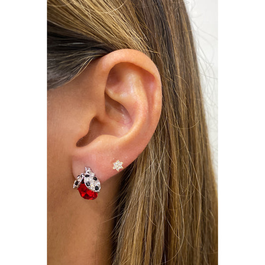 Aretes KAUP 🐞