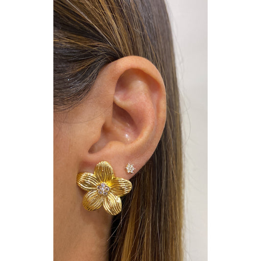 Aretes LASPO