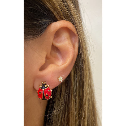 Aretes ZAPI