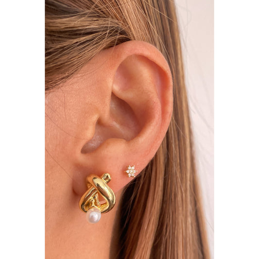 Aretes PLECU