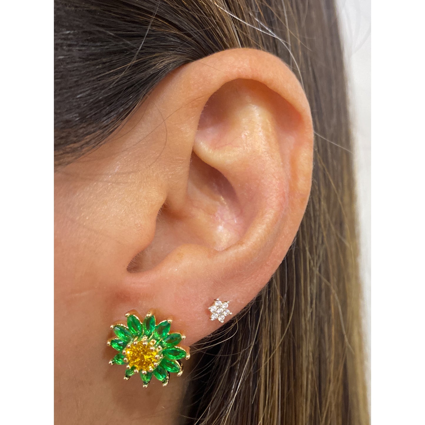 Aretes PINUR