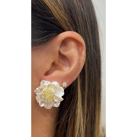 Aretes BURON
