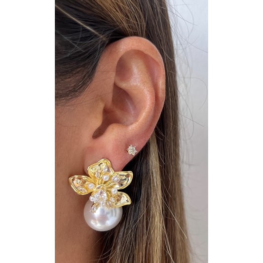 Aretes ZORTI