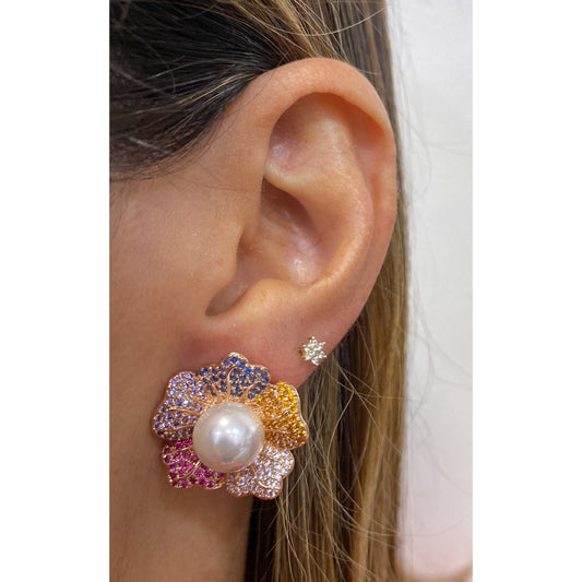 Aretes ANCINE Multicolor